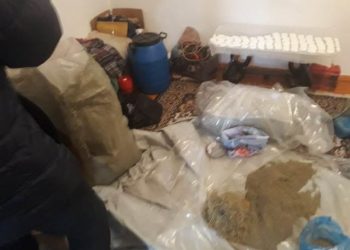 Жамбылские полицейские изъяли 67,5 килограмма марихуаны и 143 грамма гашиша