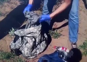 Более 53 кг марихуаны изъято из незаконного оборота в ходе ОПМ «Паутина»