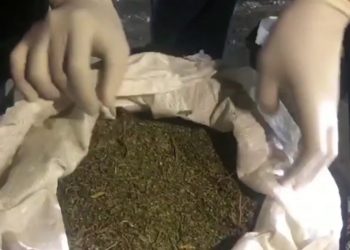 Житель Шымкента перевозил более 23 кг марихуаны
