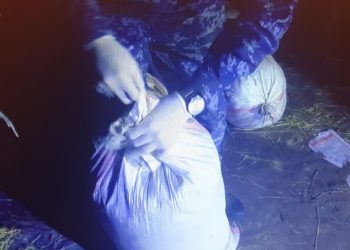 Задержан житель Шуского района с более 56 кг марихуаны