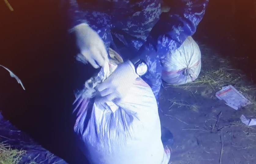 Задержан житель Шуского района с более 56 кг марихуаны