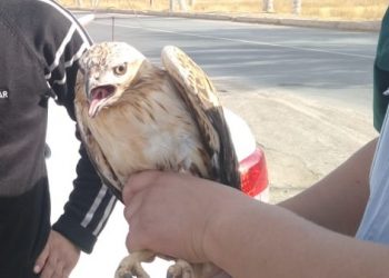В Жамбылской области проводится ОПМ «Браконьер»