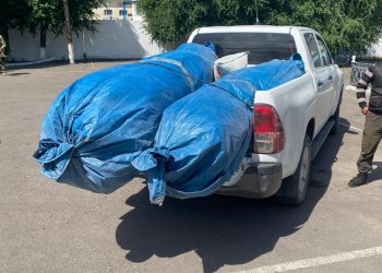 Служебная собака Адис обнаружила 80 кг наркотиков у жителя Жамбылской области