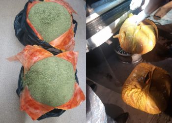 Жамбылские полицейские изъяли 20,5 кг марихуаны.