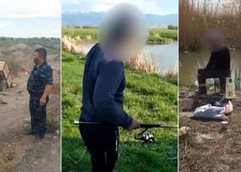 917 экологических правонарушений выявлено в Жамбылской области