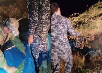 Более 100 кг наркотиков изъято у жителя Жамбылской области