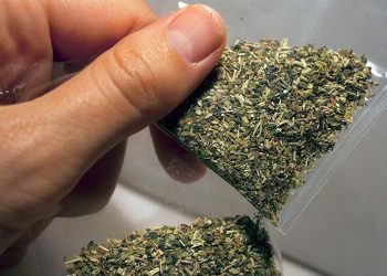 18 кг марихуаны обнаружили в авто жителя Тараза.