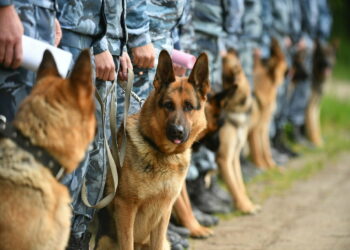 Поиски без вести пропавших в последствии взрыва военного склада активно продолжаются
