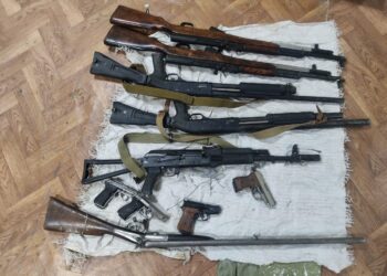 26 единиц оружия и более 400 патронов обнаружили полицейские в Жамбылской области
