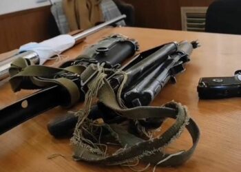 10 единиц оружия, гранаты и более 600 патронов обнаружили жамбылские полицейские
