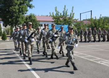 В едином воинском строю