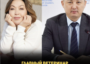 Главный ветеринар Жамбылской области подал в суд на зоозащитницу