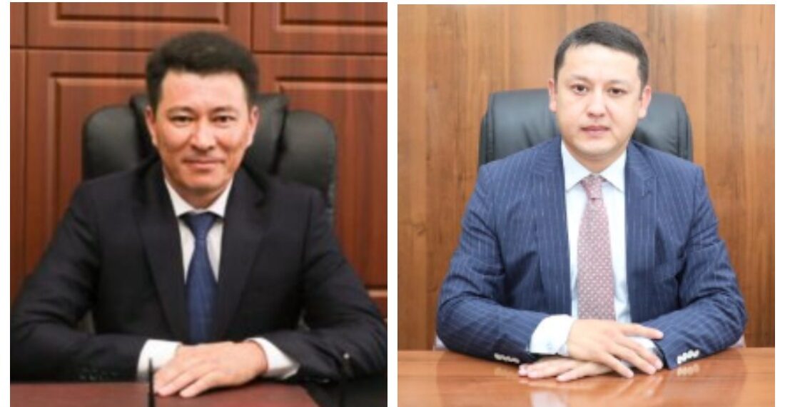 НОВЫЕ АКИМЫ