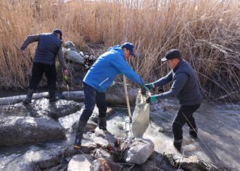 Жамбылцы во время массового субботника очистили арычную сеть и каналы от мусора