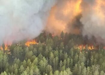 В Кызылординской области после крупного пожара обрушилась крыша торгового дома