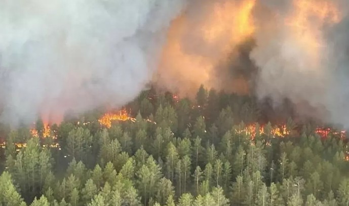 В Кызылординской области после крупного пожара обрушилась крыша торгового дома