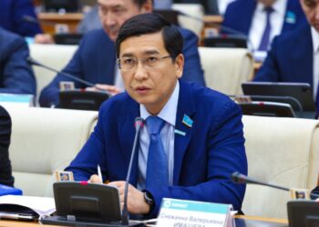 Выступление депутата по вопросам Конституции Республики Казахстан