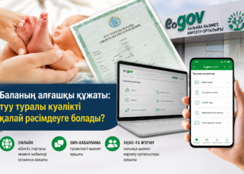 Свидетельство о рождении новорожденного: как оформить первый документ ребенка