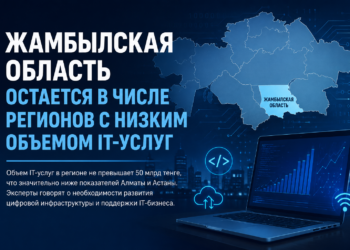 Жамбылская область остается в числе регионов с низким объемом IT-услуг