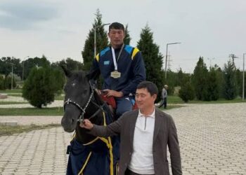 Чемпиона мира по борьбе на лошадях встретили в Таразе