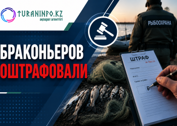 Браконьеров оштрафовали