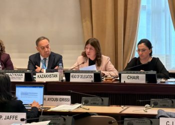 Казахстан представил ООН новые меры по защите детей
