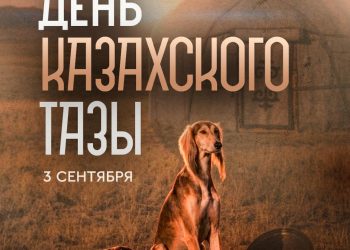 Сегодня мы впервые отмечаем День казахского тазы и тобета.