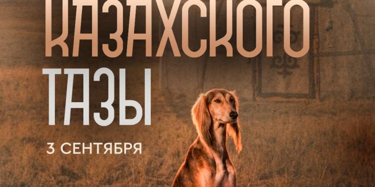 Сегодня мы впервые отмечаем День казахского тазы и тобета.