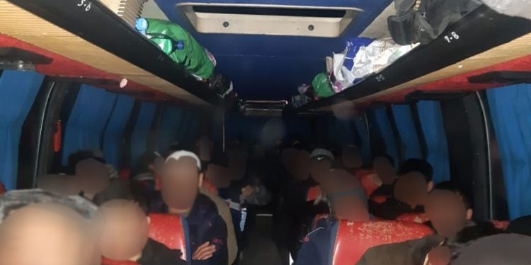 Жамбыл облысында жол-патрульдік полиция қызметкерлері төрт күн ішінде 900-ден астам құқық бұзушылықты анықтады