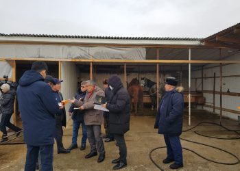 Пилоттық жоба бойынша бесағаштықтар белсенділік танытуда
