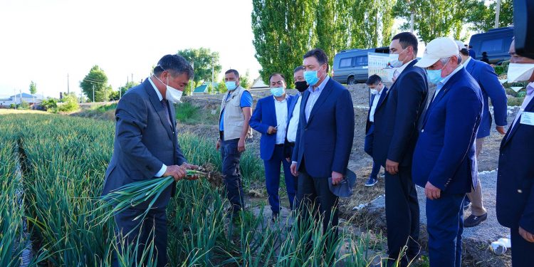 ҚР Премьер-Министрі А. Маминнің Жамбыл облысына жұмыс сапары: инфрақұрылым, ауыл шаруашылығы, жұмыспен қамту