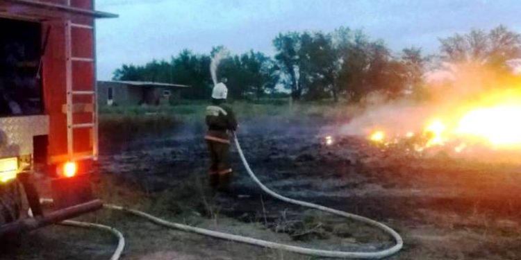 Жамбыл облысында екі шаруа қожалығы өртенді
