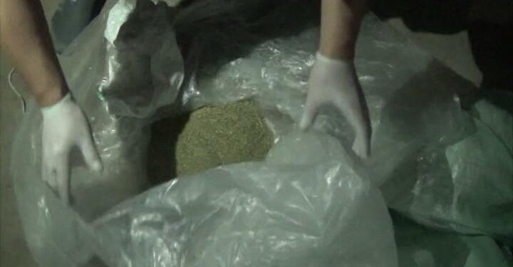 Тараз қаласының тұрғынынан 23 келіден астам марихуана есірткі заты табылды