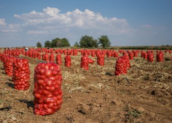 Ауыл – берекенің бастауы