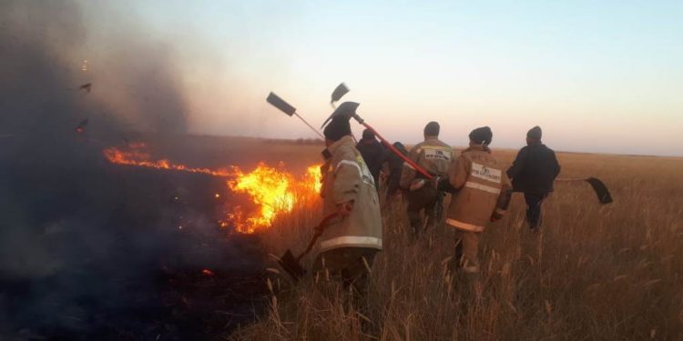 Жамбыл облысында 4 гектар қамыс пен құрғақ шөп жанды