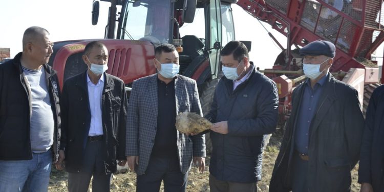 ӘР ГЕКТАРДАН 800 ЦЕНТНЕР ӨНІМ АЛУДА