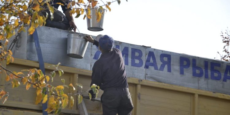 Шабақтар Балқаш көліне жөнелтілді