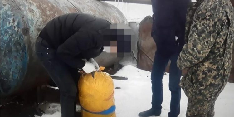 Жамбыл облысындағы малшыдан 12 келіден астам есірткі заты тәркіленді