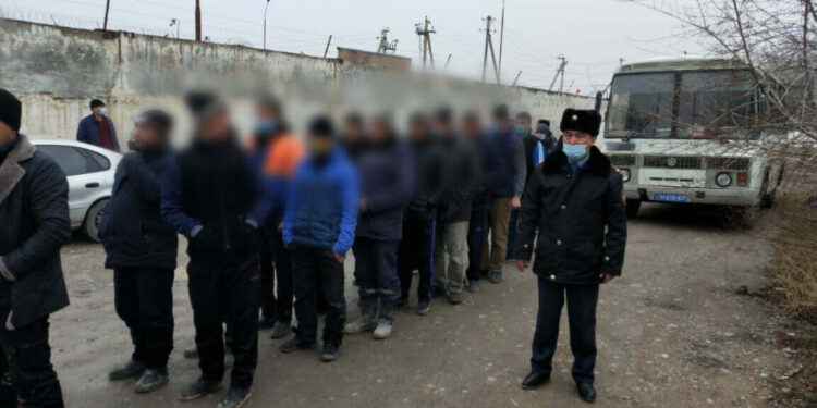 Жамбыл облысында 50 шетелдік азамат әкімшілік жауапкершілікке тартылды