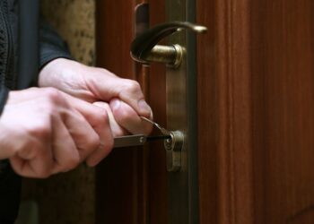 Тараздық полицейлер ұрлық жасаған Шымкент қаласының  тұрғынын ұстады