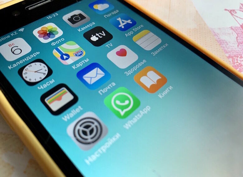 Жамбылдық полицейлер смартфон ұрлығының ізін суытпай ашты