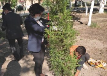 Тараз қаласында  «Денсаулық саябағы» бой көтермекші