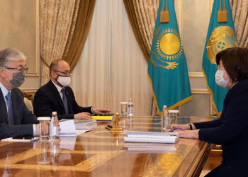 Мемлекет басшысы Адам құқықтары жөніндегі уәкіл Эльвира Әзімованы қабылдады
