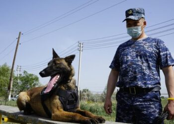 Қызметтік ит Тараз тұрғынынан 5 келіден астам есірткі тапты