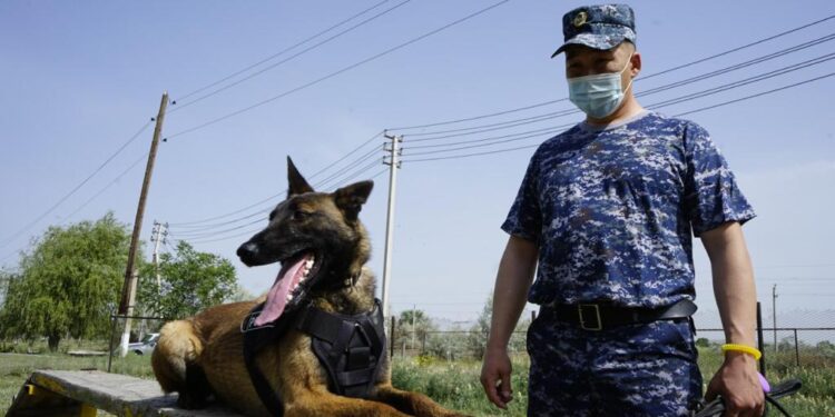 Қызметтік ит Тараз тұрғынынан 5 келіден астам есірткі тапты