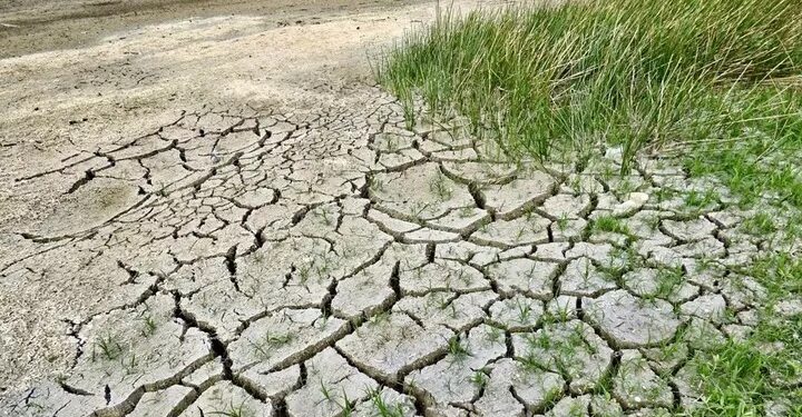 Шілде айында Қазақстанның бірқатар өңірінде қатты қуаңшылық болады деп күтілуде