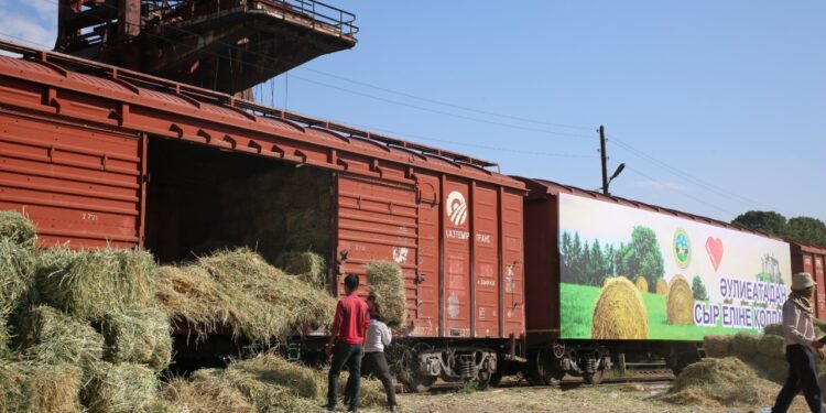 Жамбыл облысы Қызылорда өңіріне 33 тонна шөп жөнелтті