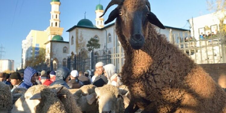 Елімізде Құрбан айт күні мал базарлары жұмыс істей ме