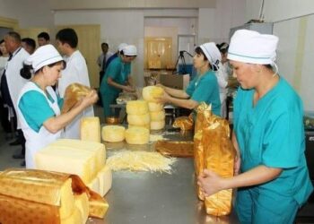 АУДАНДА ЖЕКЕ КӘСІПКЕРЛЕРДІҢ САНЫ 24- ТЕН 196- ҒА АРТҚАН