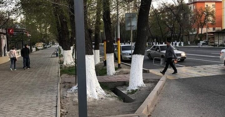 «TULPARCARD» МЕН «BALAPEY» КОМПАНИЯЛАРЫ БІРІКТІРІЛІП, МЕКТЕП АСХАНАЛАРЫ АРНАЙЫ ЖҮЙЕМЕН ЖАБДЫҚТАЛАТЫН БОЛАДЫ